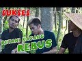 PETANI KACANG REBUS BERSUSAH HATI