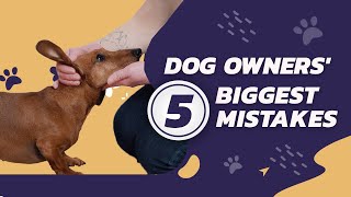 Top 5 Biggest Dog Owner Mistakes: SolidK9Training