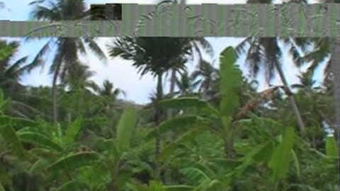 Côn Đảo - Thiên đường Du lịch