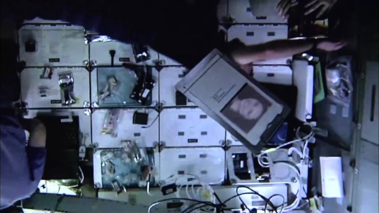 Anna Segal Happy B-Day 2014