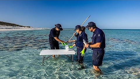 Scientists are asking schoolchildren to help track marine life fleeing from warming oceans