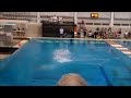 Dives of the Day   Synchro Day!