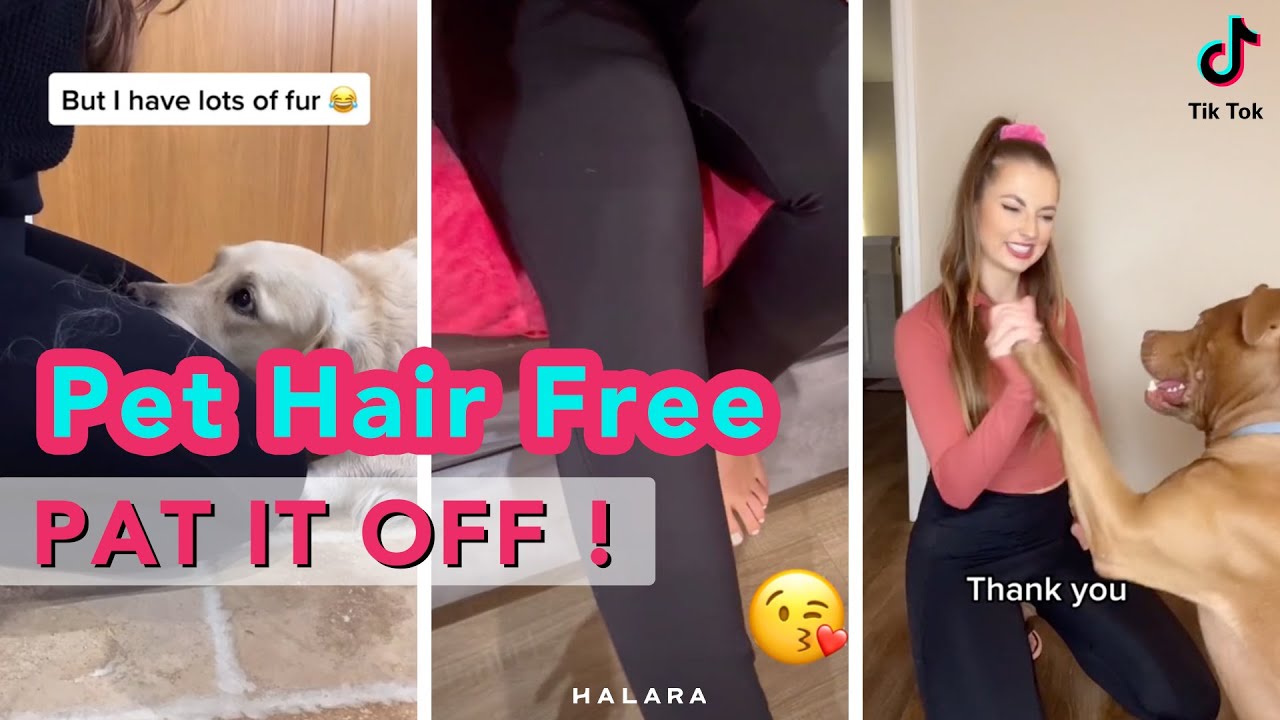 HALARA #patitoff Leggings  Tired of pet hair or lint? Try these