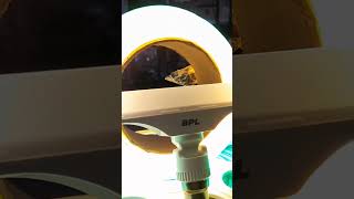 BPL 10W T-BULB LED #bpl