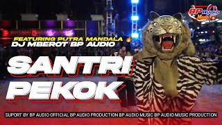 DJ MBEROTT BP AUDIO | SANTRI PEKOK | FEATURING PUTRA MANDALA ‼️
