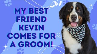 KEVIN says hello 2024! Bernese Mountain Dog Grooming!