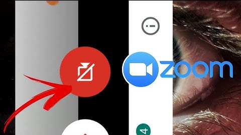 How to mute video on zoom cloud meeting app