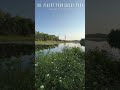 SOUNDs of NATURE at THE PINERY PROVINCIAL PARK (Canada)