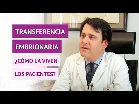 ¿Cómo viven los pacientes el momento de la transferencia embrionaria?