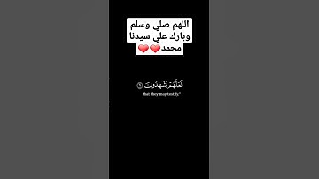 《قالوا من فعل هذا بئالهتنا إنه لمن الظالمين》القارئ ياسر الدسري❤❤