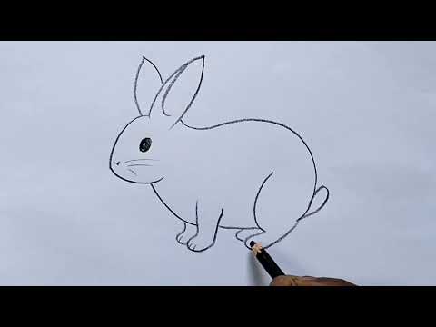 how to draw rabbit drawing easy step by step@DrawingTalent