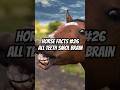 Small brain like me fr fr #horse #horsefacts #horses #horseriding
