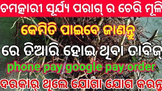 phone pay Google pay use | vashikaran tabij | tecbigyan | tantra vidya | tecbigyan Odia screenshot 1