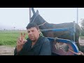الشيخ حمدي بيجيب حمير هندي من الجمرك ضحك من الاخر