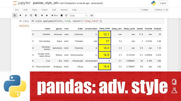 สอน Python สำหรับ Data science: การปรับแต่ง style ในการแสดงข้อมูล DataFrame ด้วย custom function