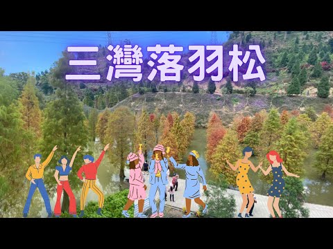 🗺️《苗栗三灣落羽松+南庄老街》欣賞落羽松整齊地種於水中+必嚐的小吃美食包含豬籠粄 狗薑粽、桂花冰鎮湯圓桂花梅、擂茶、滷豆干、客家菜等