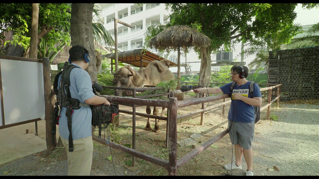 festival of lights Death of the Sound Man - trailer | IFFR 2018