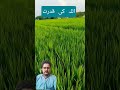 کسان کی ضرورت اور اہمیت