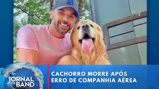 Cachorro morre após falha no transporte aéreo da Gol em aeroporto de SP | Jornal da Band