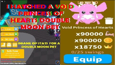 Saber Simulator I HATCHED A VOID PRINCESS OF HEARTS DOUBLE MOON PET OP STATS