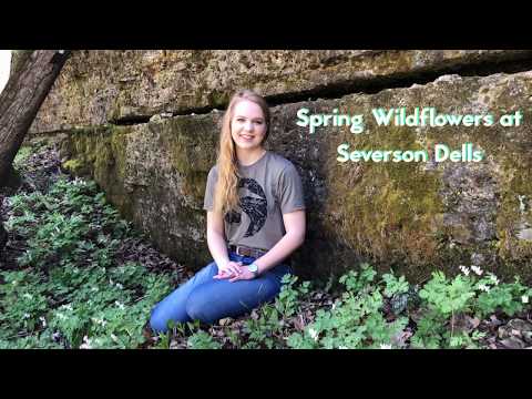 Spring Wildflowers