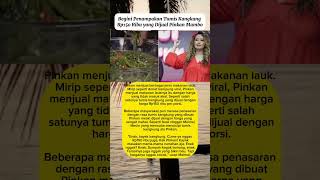 Ini Penampakan Tumis Kangkung 150Rb Yg Dijual Pinkan Mambo Viral