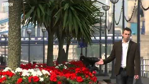 BBC Click 05-10-2013