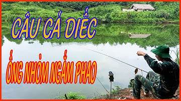 Câu Cá Diếc | Ống Nhòm Ngắm Phao | Câu Cá Giải Trí Và Ẩm Thực