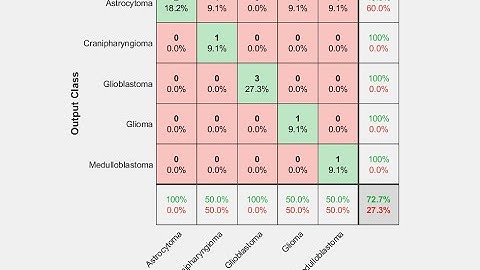 Brain Tumor Detection Using Convolutional Neural Network