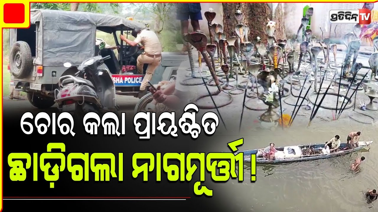 ଶିବରାତ୍ରୀ ରେ ଚୋର କଲା ପ୍ରାୟଶ୍ଚିତ,  ଛାଡ଼ିଗଲା ୧୦୪ ନାଗମୂର୍ତ୍ତୀ। Rare Statue found in Banki Mahanadi.