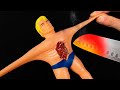 Experiment: What's inside Stretch Armstrong ?