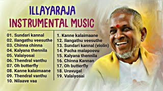 Ilayaraja Instrumental Music &amp; BGM&#39;s | ilayaraja instrumental music collection-Flute, Violin, veenai