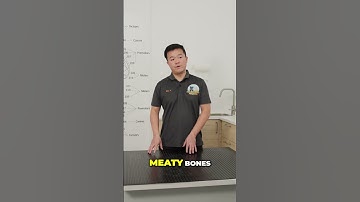 Stubborn Cats: Transitioning to Raw Diet Made Easy