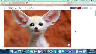 PIDP 3240 Instructional Video - Using Copyright Protected Images in Education