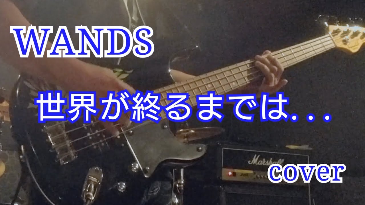 WANDS プロモーションビデオ hqdefault.jpg