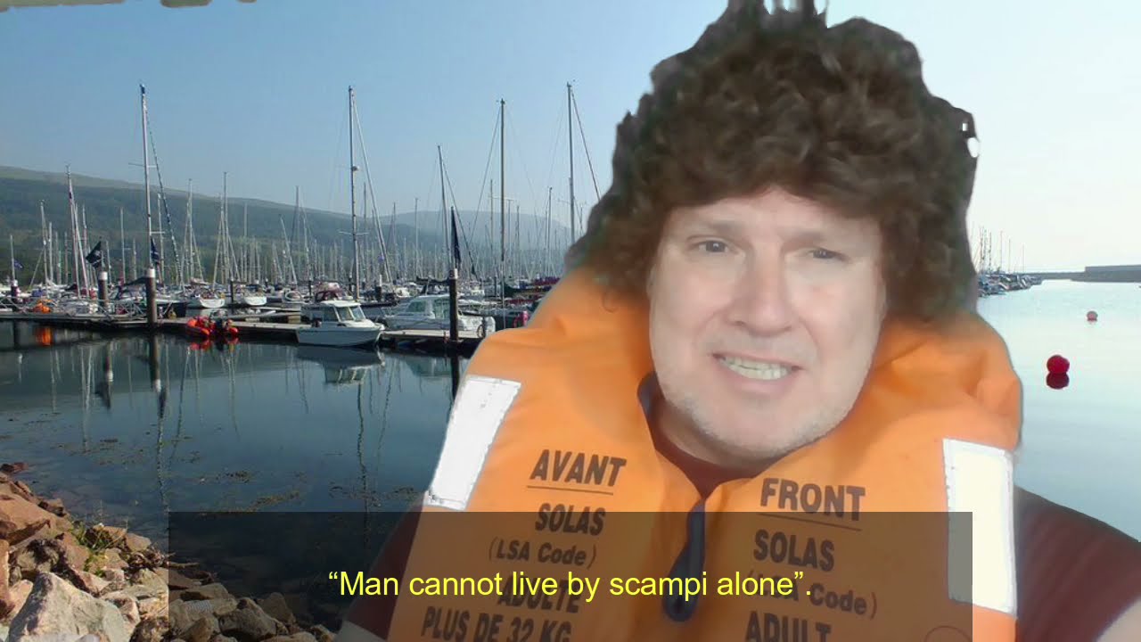 Carpet sea squirt, Didemnum vexillum invasion in the UK by Nick Rooke