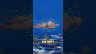 🌊 Do Dead Bodies Sink or Float? 😨 #shorts #trending Wealth