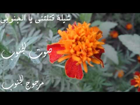 شيلة قتلتني يا الجنوبي اداء صوت الجنوب