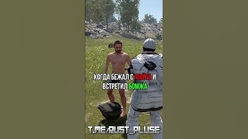 мемы из раста #мем #rustрейд #пабг #растмирейд