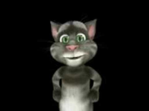 Il Gatto Buonanotte Youtube