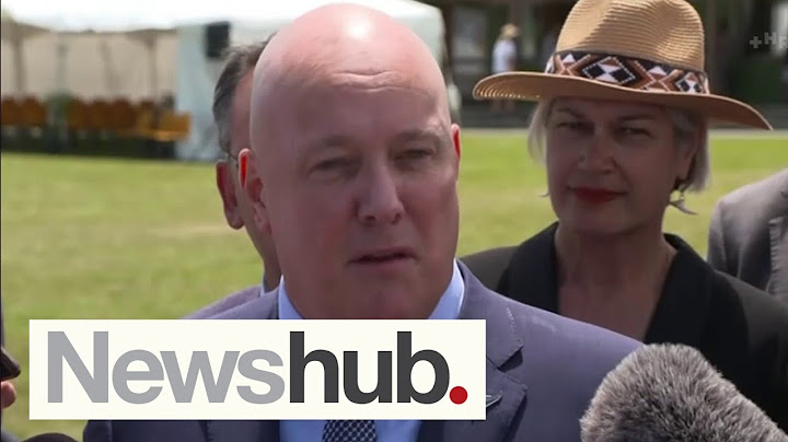 Christopher Luxon labels co-governance conversation 'divisive and immature' at Rātana | Newshub