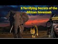 8 Hidden Secrets of the African Savannah You’ve Never Heard Of l Surprise TV