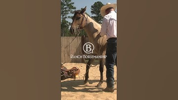 Es20 Colt Starting  Magnolia Day 6 2