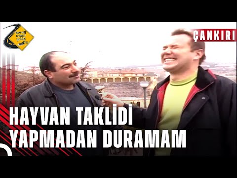 Eşek Gibi Anıran Amca 🤣 | Şoray Uzun Yolda