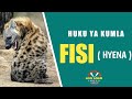 JE UNAJUA KUWA FISI HYENA NI HALALI KULIWA NA NI KATIKA KIWINDWA Sheikh Nurudini Siminda