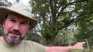 Reading Trees for Navigation   A Tip Net Worth