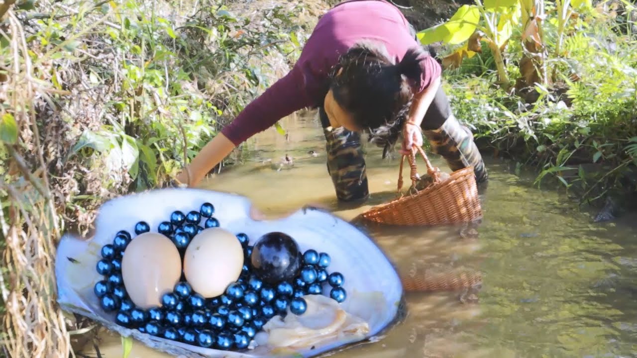 Girl clams collect pearls from clams, and each clam contains exquisite