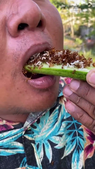 Eating ants with cucumber #shorts