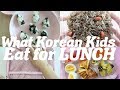What do Korean Kids Eat for Lunch ft. Wildkin