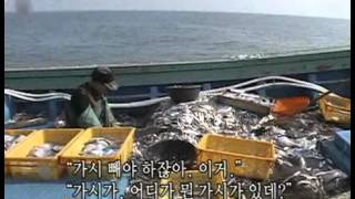 인간극장 - Screening Humanity 20080130 #003
